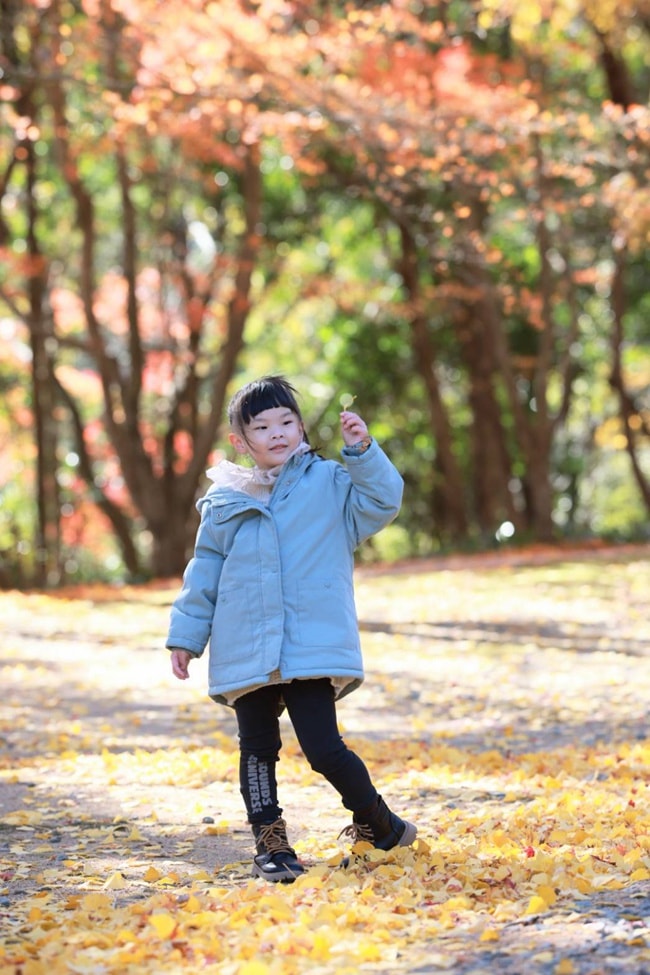 四國德島景點 四国別格 大山寺 四国別格1番 銀杏 德島銀杏 四國銀杏 四國自由行 四國自駕 日本自由行 潔妮食旅生活
