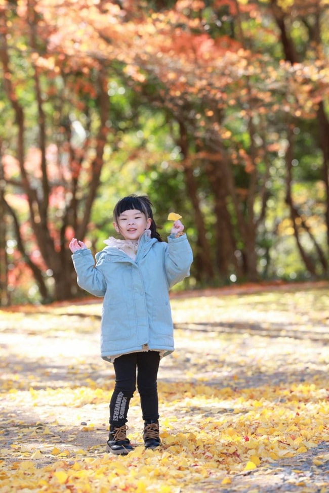 四國德島景點 四国別格 大山寺 四国別格1番 銀杏 德島銀杏 四國銀杏 四國自由行 四國自駕 日本自由行 潔妮食旅生活