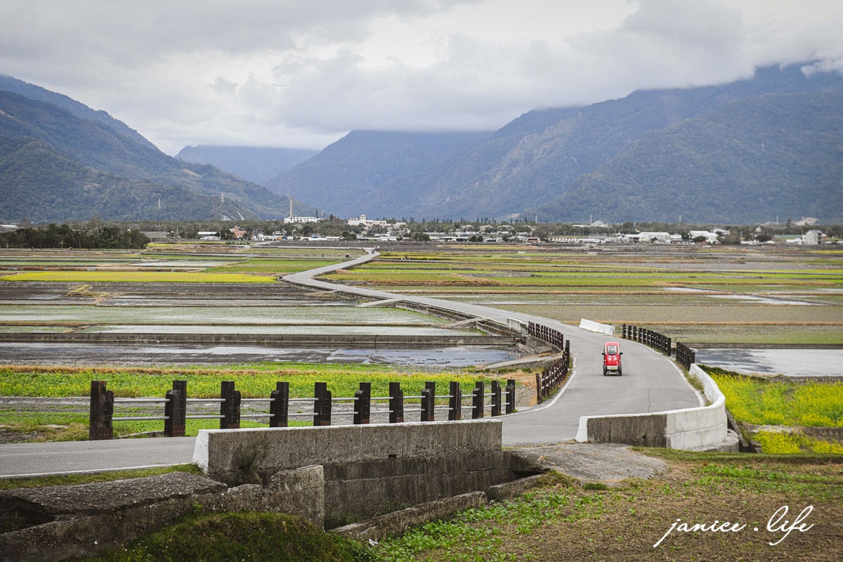 台東景點 天堂路 台東天堂路 池上天堂路 池上景點 天堂鞦韆 台東旅遊 潔妮食旅生活