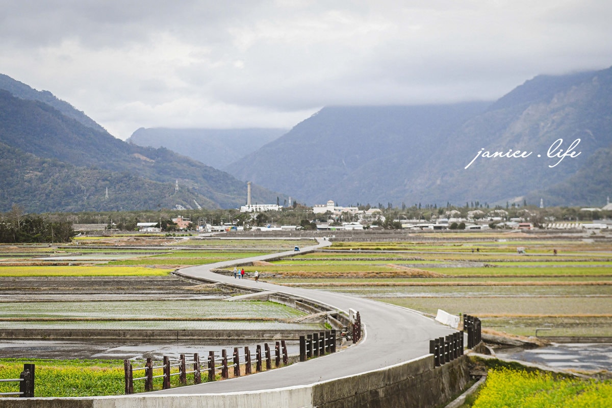 台東景點 天堂路 台東天堂路 池上天堂路 池上景點 天堂鞦韆 台東旅遊 潔妮食旅生活