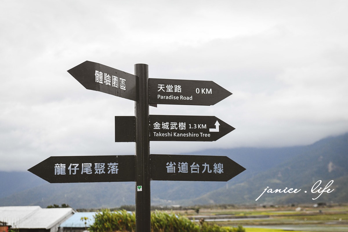 台東景點 天堂路 台東天堂路 池上天堂路 池上景點 天堂鞦韆 台東旅遊 潔妮食旅生活