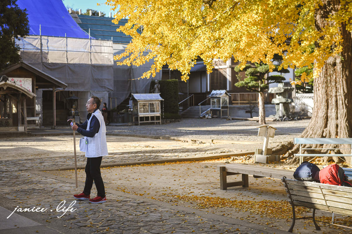 四國德島景點 第5號靈場 無盡山 莊嚴院 地藏寺 四國遍路 四國八十八箇所 四國銀杏 潔妮食旅生活 日本自由行 日本自駕 四國自駕 四國自由行 四國旅遊