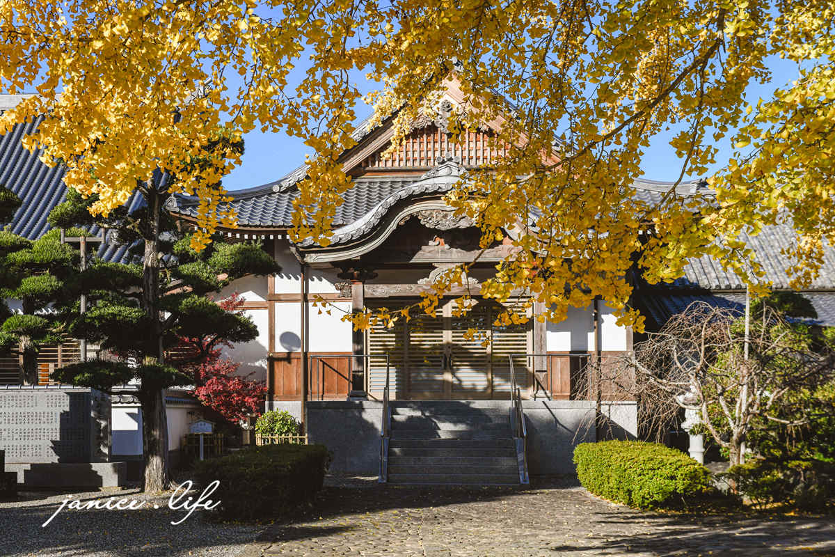 四國德島景點 第5號靈場 無盡山 莊嚴院 地藏寺 四國遍路 四國八十八箇所 四國銀杏 潔妮食旅生活 日本自由行 日本自駕 四國自駕 四國自由行 四國旅遊