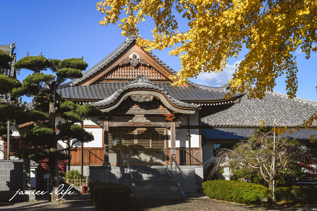 四國德島景點 第5號靈場 無盡山 莊嚴院 地藏寺 四國遍路 四國八十八箇所 四國銀杏 潔妮食旅生活 日本自由行 日本自駕 四國自駕 四國自由行 四國旅遊