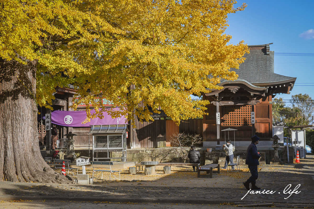 四國德島景點 第5號靈場 無盡山 莊嚴院 地藏寺 四國遍路 四國八十八箇所 四國銀杏 潔妮食旅生活 日本自由行 日本自駕 四國自駕 四國自由行 四國旅遊