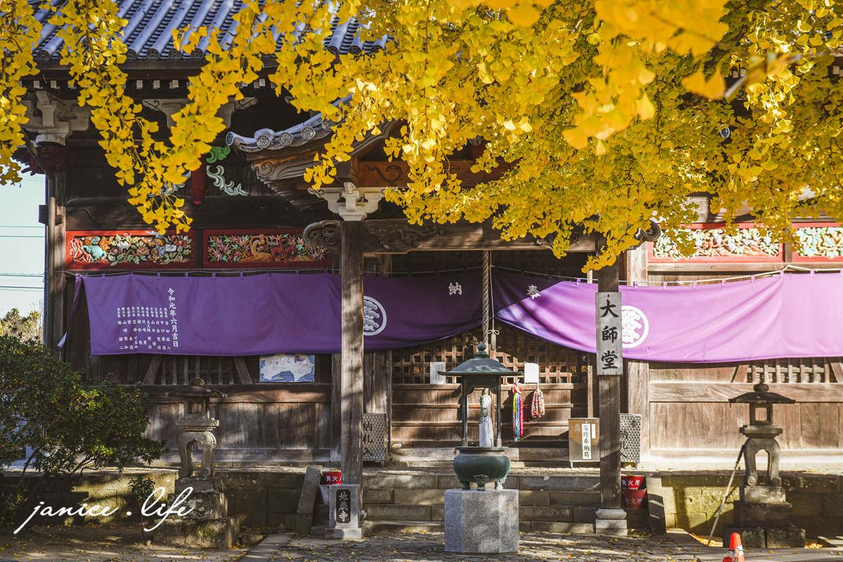 四國德島景點 第5號靈場 無盡山 莊嚴院 地藏寺 四國遍路 四國八十八箇所 四國銀杏 潔妮食旅生活 日本自由行 日本自駕 四國自駕 四國自由行 四國旅遊