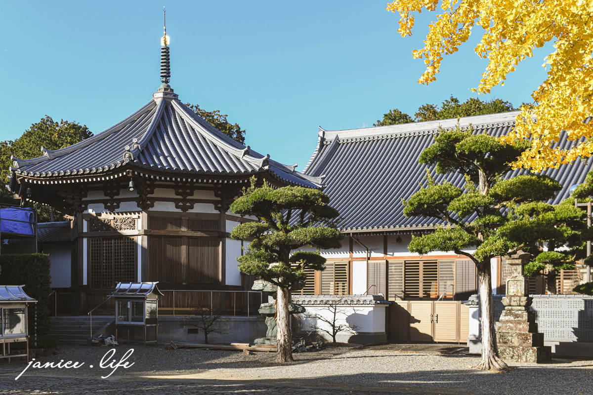 四國德島景點 第5號靈場 無盡山 莊嚴院 地藏寺 四國遍路 四國八十八箇所 四國銀杏 潔妮食旅生活 日本自由行 日本自駕 四國自駕 四國自由行 四國旅遊