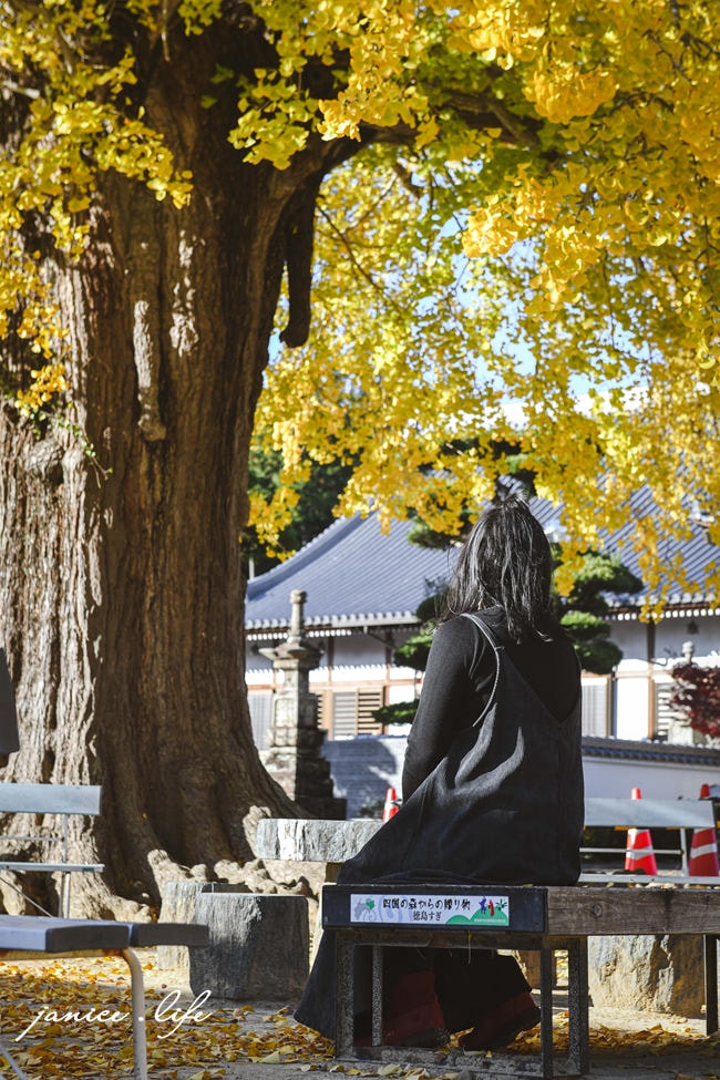 四國德島景點 第5號靈場 無盡山 莊嚴院 地藏寺 四國遍路 四國八十八箇所 四國銀杏 潔妮食旅生活 日本自由行 日本自駕 四國自駕 四國自由行 四國旅遊