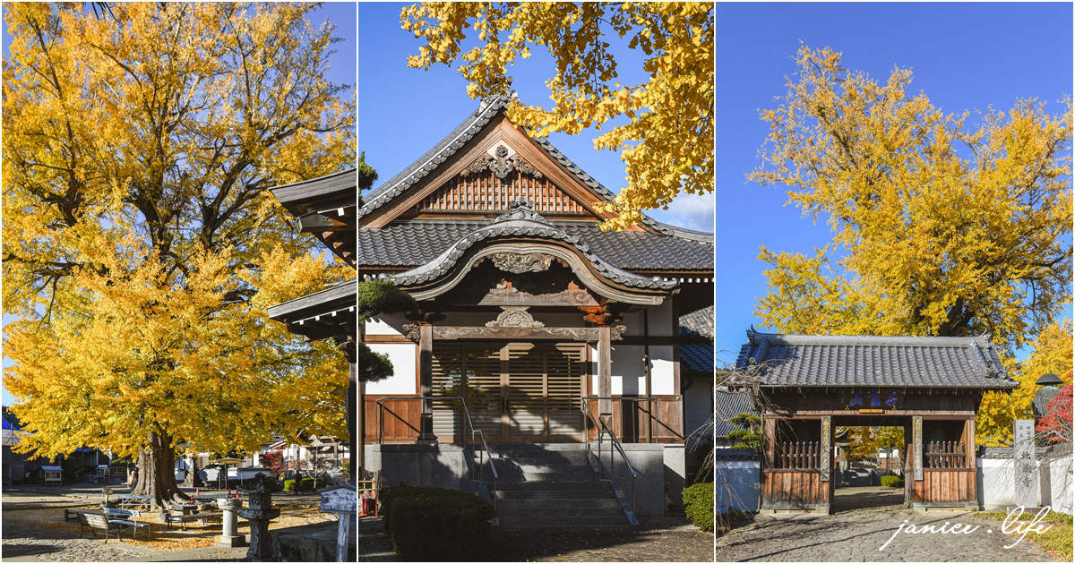 四國德島景點 第5號靈場 無盡山 莊嚴院 地藏寺 四國遍路 四國八十八箇所 四國銀杏 潔妮食旅生活 日本自由行 日本自駕 四國自駕 四國自由行 四國旅遊