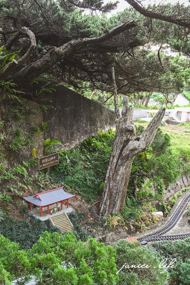 桃園親子景點 小人國主題樂園 2024小人國主題樂園攻略 龍潭旅遊 龍潭景點 桃園景點 小人國門票 小人國營業時間 小人國優惠 小人國遊樂設施 小人國停車 小人國交通 小人國用餐