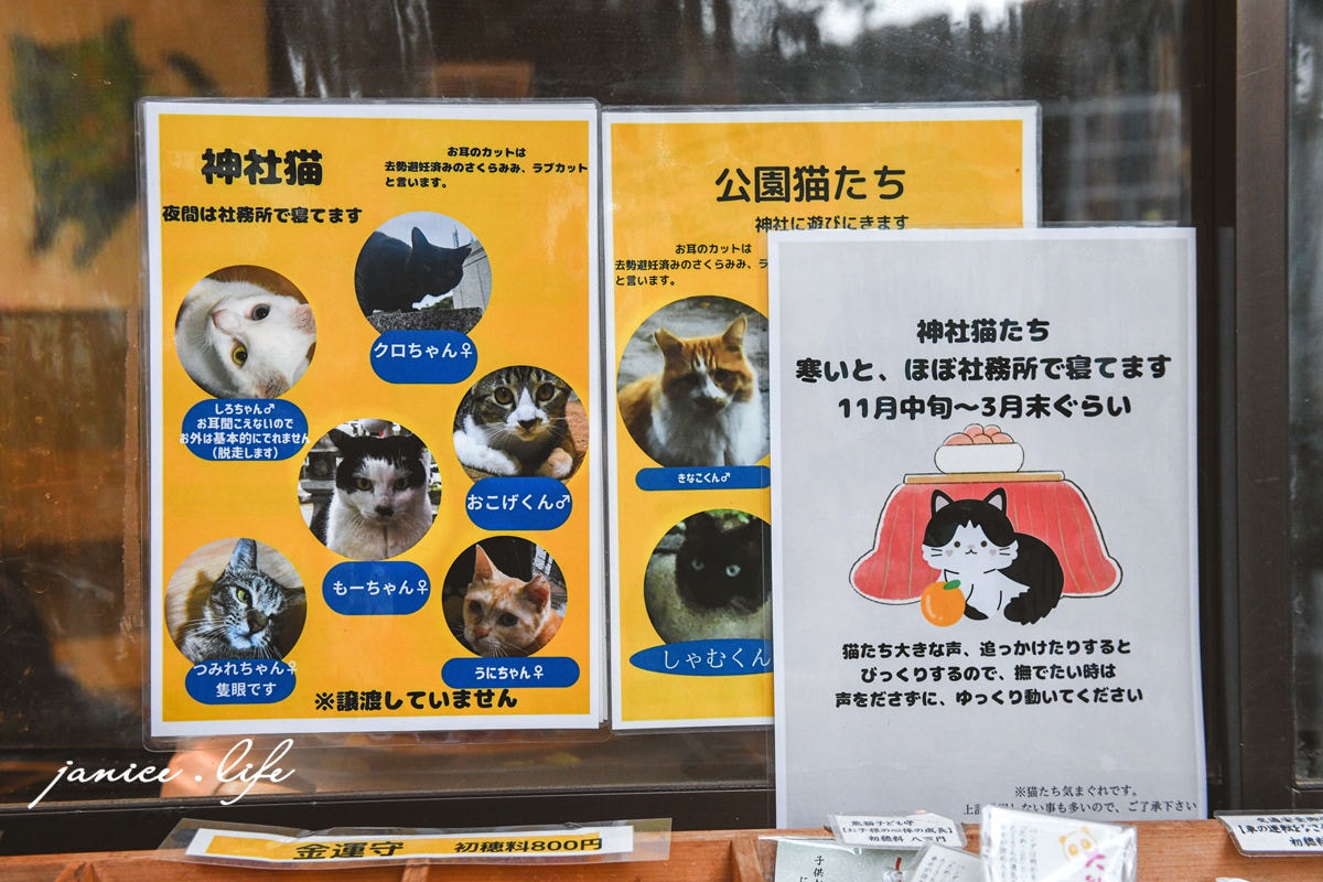 四國德島景點 王子神社 猫神さん 文化の森総合公園 日本自由行 四國自由行 四國自駕 潔妮食旅生活