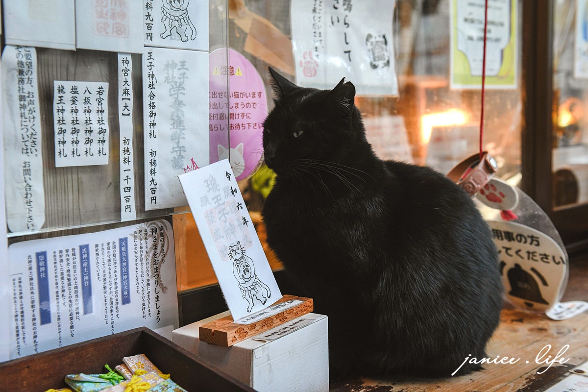 四國德島景點 王子神社 猫神さん 文化の森総合公園 日本自由行 四國自由行 四國自駕 潔妮食旅生活