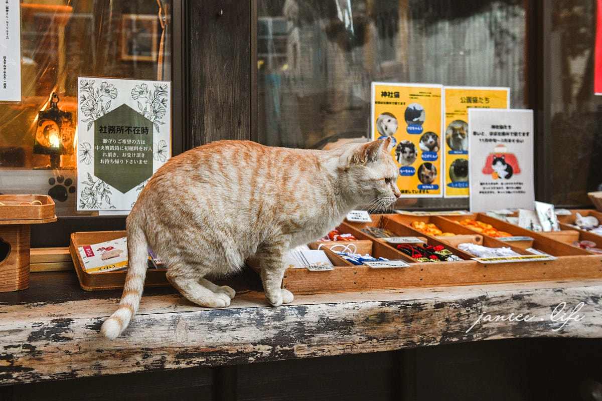 四國德島景點 王子神社 猫神さん 文化の森総合公園 日本自由行 四國自由行 四國自駕 潔妮食旅生活