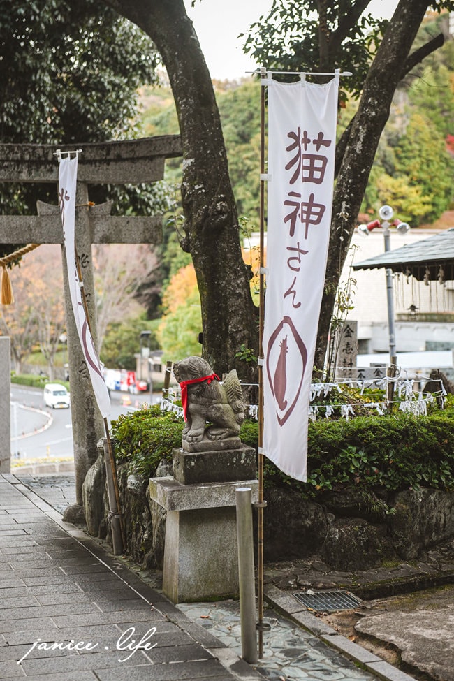 四國德島景點 王子神社 猫神さん 文化の森総合公園 日本自由行 四國自由行 四國自駕 潔妮食旅生活