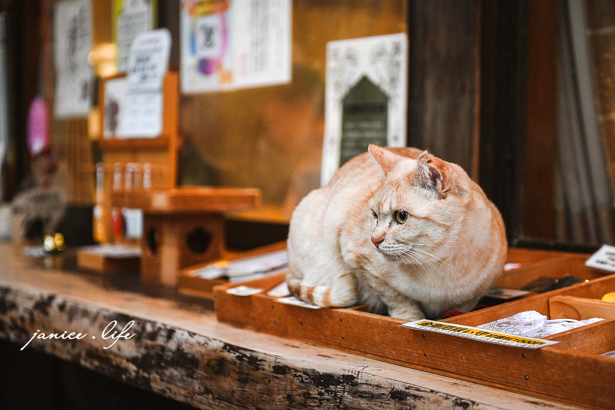 四國德島景點 王子神社 猫神さん 文化の森総合公園 日本自由行 四國自由行 四國自駕 潔妮食旅生活