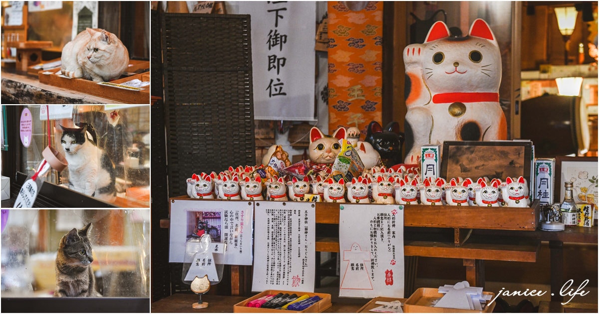 四國德島景點 王子神社 猫神さん 文化の森総合公園 日本自由行 四國自由行 四國自駕 潔妮食旅生活