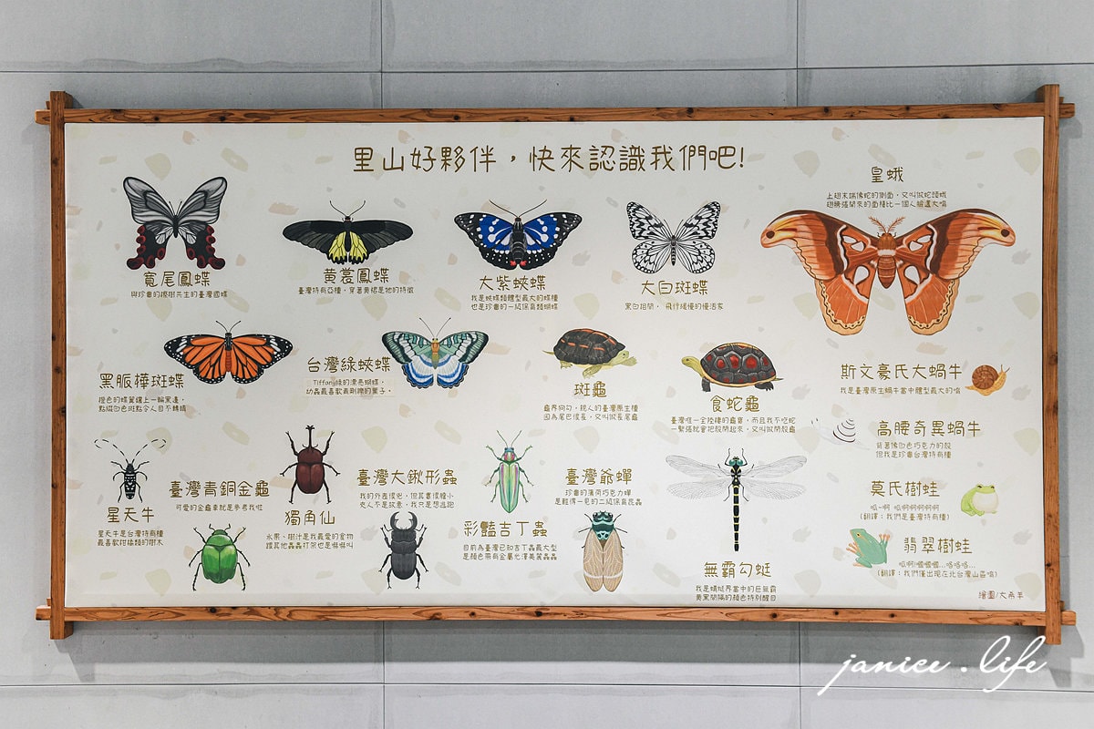 宜蘭蘇澳景點 森學苑 親子觀光工廠 宜蘭親子景點 宜蘭室內景點 宜蘭旅遊 潔妮食旅生活  宜蘭縣蘇澳鎮德興七路1號 DIY手作 宜蘭景點