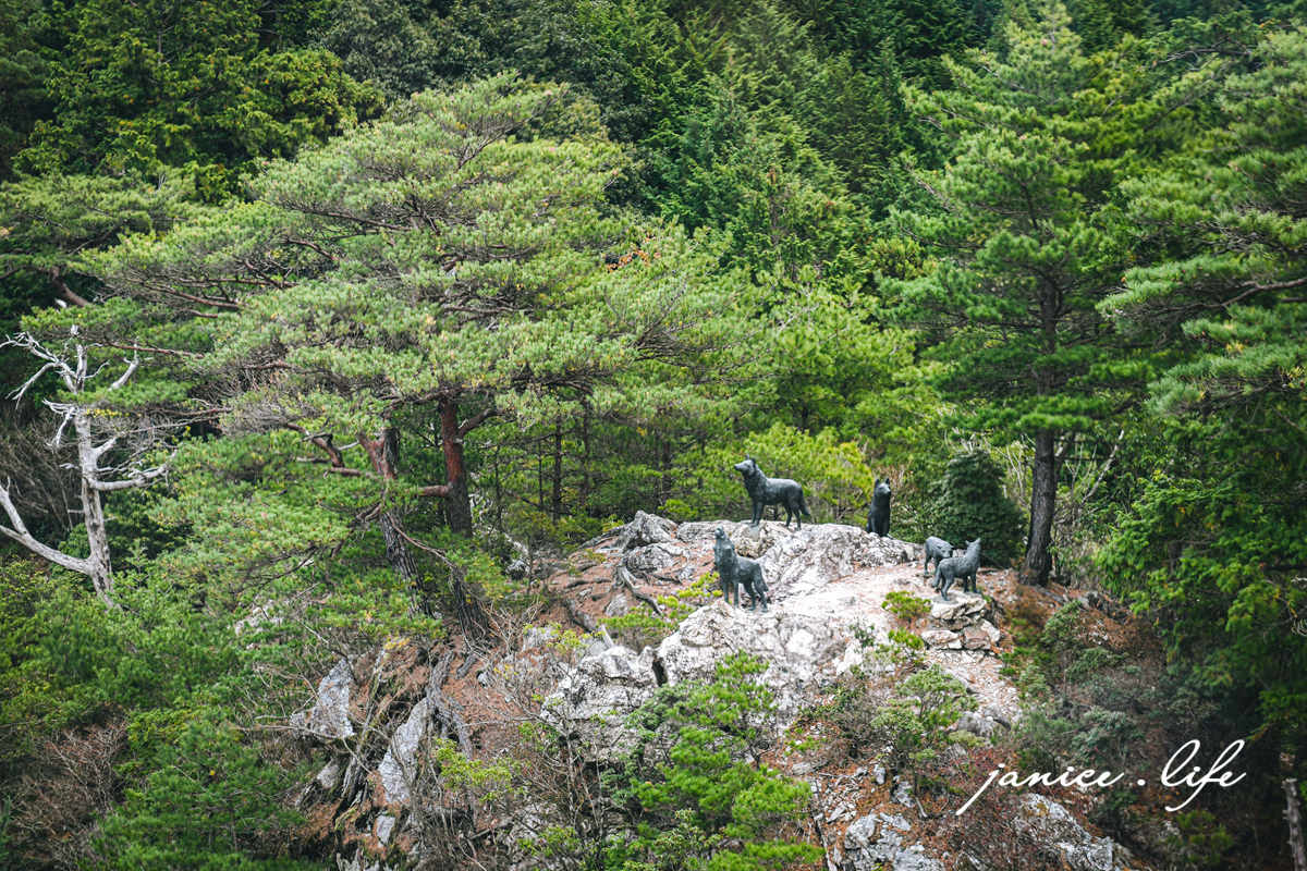 太龍寺 四國靈場第二十一番 四國德島景點 日本自由行 四國自由行 四國自駕 日本自駕 日本自由行行程規劃 潔妮食旅生活 四國遍路第21號靈場 太龍寺索道 太龍寺ロープウェイ 四國遍路
