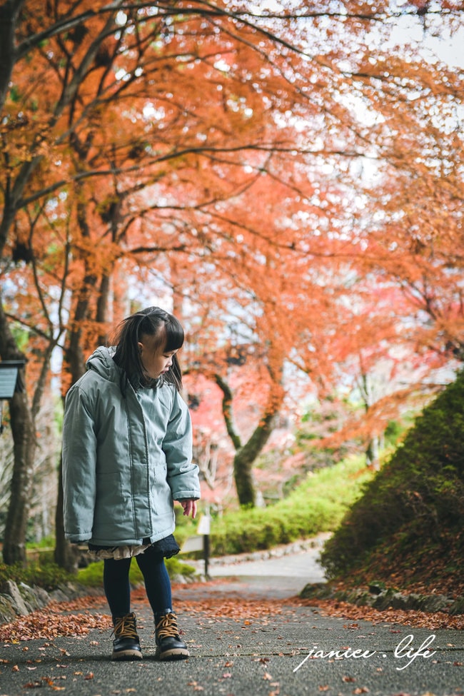 太龍寺 四國靈場第二十一番 四國德島景點 日本自由行 四國自由行 四國自駕 日本自駕 日本自由行行程規劃 潔妮食旅生活 四國遍路第21號靈場 太龍寺索道 太龍寺ロープウェイ 四國遍路