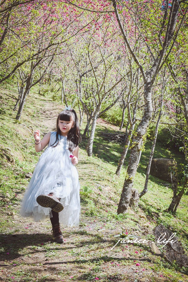 桃園復興景點  悠然秘境小屋  桃園隱藏版賞櫻秘境 桃園旅遊 桃園親子景點 桃園賞櫻景點 賞櫻景點 潔妮食旅生活 桃園市復興區三民路19鄰 桃園復興觀音洞