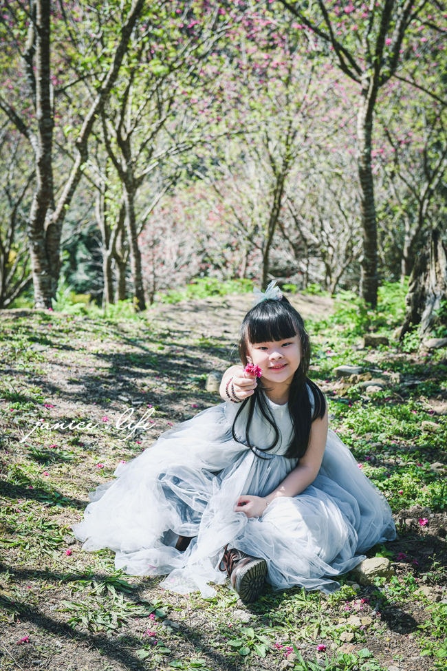 桃園復興景點  悠然秘境小屋  桃園隱藏版賞櫻秘境 桃園旅遊 桃園親子景點 桃園賞櫻景點 賞櫻景點 潔妮食旅生活 桃園市復興區三民路19鄰 桃園復興觀音洞