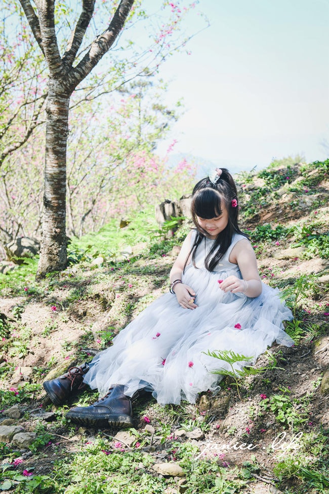 桃園復興景點  悠然秘境小屋  桃園隱藏版賞櫻秘境 桃園旅遊 桃園親子景點 桃園賞櫻景點 賞櫻景點 潔妮食旅生活 桃園市復興區三民路19鄰 桃園復興觀音洞