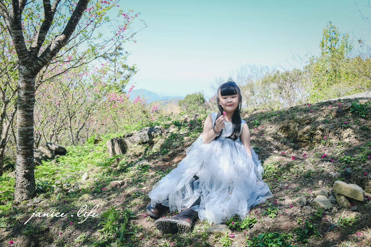桃園復興景點  悠然秘境小屋  桃園隱藏版賞櫻秘境 桃園旅遊 桃園親子景點 桃園賞櫻景點 賞櫻景點 潔妮食旅生活 桃園市復興區三民路19鄰 桃園復興觀音洞