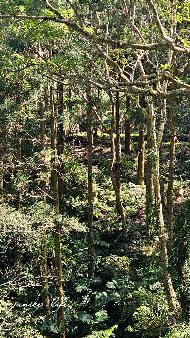 桃園復興景點 悠然秘境小屋 桃園隱藏版賞櫻秘境 桃園旅遊 桃園親子景點 桃園賞櫻景點 賞櫻景點 潔妮食旅生活 桃園市復興區三民路19鄰 桃園復興觀音洞