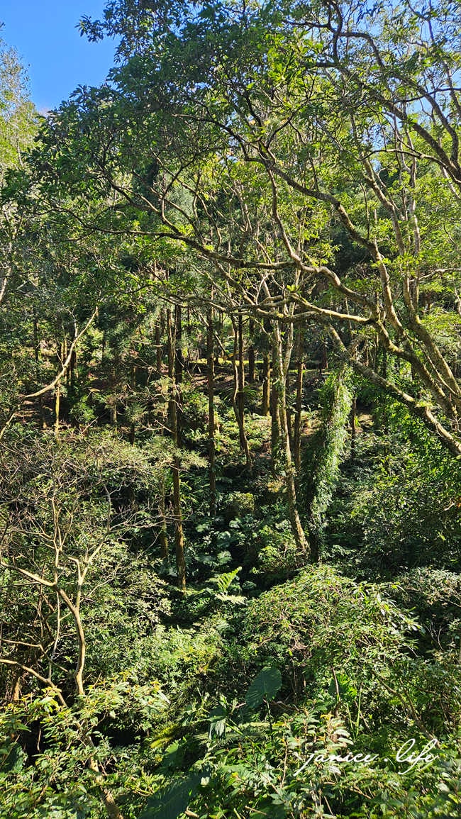 桃園復興景點 悠然秘境小屋 桃園隱藏版賞櫻秘境 桃園旅遊 桃園親子景點 桃園賞櫻景點 賞櫻景點 潔妮食旅生活 桃園市復興區三民路19鄰 桃園復興觀音洞