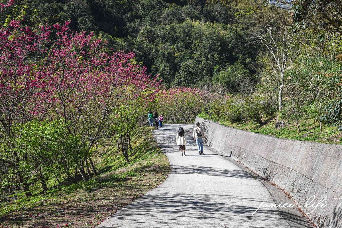 桃園復興景點  悠然秘境小屋  桃園隱藏版賞櫻秘境 桃園旅遊 桃園親子景點 桃園賞櫻景點 賞櫻景點 潔妮食旅生活 桃園市復興區三民路19鄰 桃園復興觀音洞