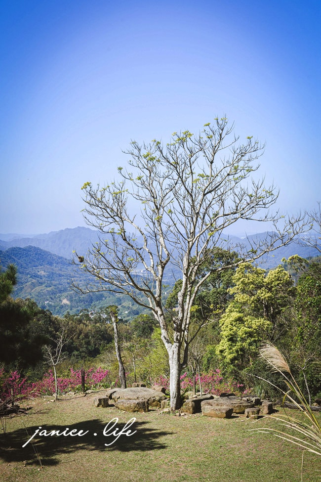 桃園復興景點  悠然秘境小屋  桃園隱藏版賞櫻秘境 桃園旅遊 桃園親子景點 桃園賞櫻景點 賞櫻景點 潔妮食旅生活 桃園市復興區三民路19鄰 桃園復興觀音洞