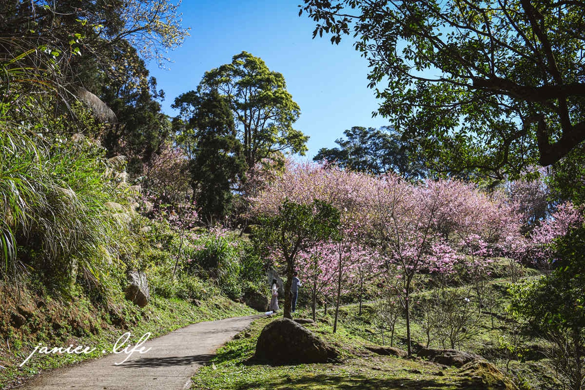 桃園復興景點  悠然秘境小屋  桃園隱藏版賞櫻秘境 桃園旅遊 桃園親子景點 桃園賞櫻景點 賞櫻景點 潔妮食旅生活 桃園市復興區三民路19鄰 桃園復興觀音洞