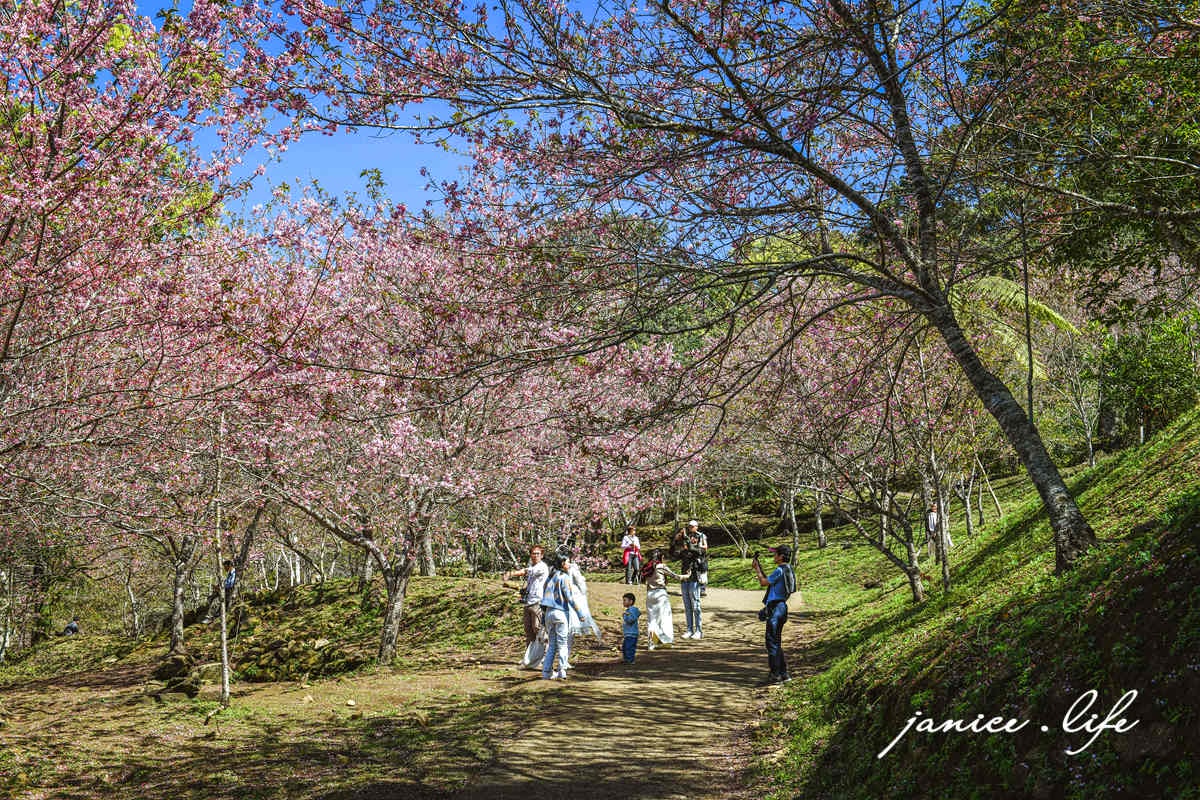 桃園復興景點  悠然秘境小屋  桃園隱藏版賞櫻秘境 桃園旅遊 桃園親子景點 桃園賞櫻景點 賞櫻景點 潔妮食旅生活 桃園市復興區三民路19鄰 桃園復興觀音洞