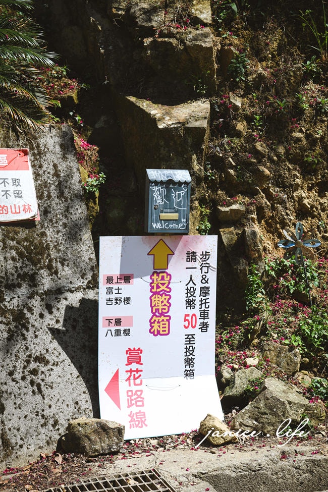 桃園復興景點 悠然秘境小屋 桃園隱藏版賞櫻秘境 桃園旅遊 桃園親子景點 桃園賞櫻景點 賞櫻景點 潔妮食旅生活 桃園市復興區三民路19鄰 桃園復興觀音洞