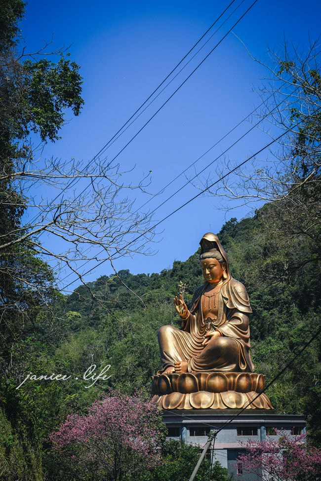 桃園復興景點 悠然秘境小屋 桃園隱藏版賞櫻秘境 桃園旅遊 桃園親子景點 桃園賞櫻景點 賞櫻景點 潔妮食旅生活 桃園市復興區三民路19鄰 桃園復興觀音洞