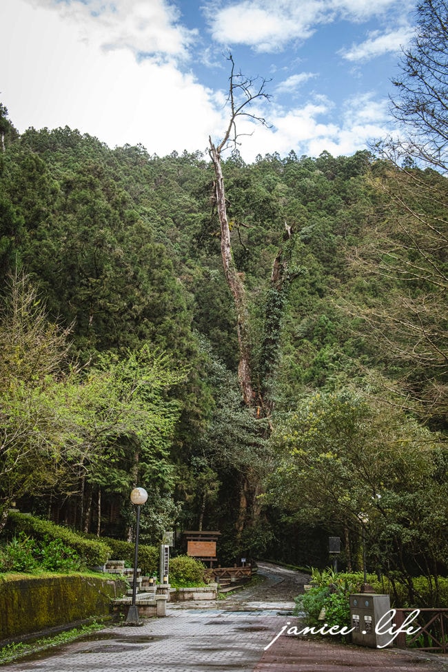 力麗馬告生態園區明池山莊 明池山莊房型 明池山莊交通明池山莊位置 明池山莊餐點 明池山莊晚餐 明池山莊評價 明池山莊接駁車 潔妮食旅生活 宜蘭住宿 宜蘭大同 宜蘭旅遊 宜蘭景點 宜蘭親子旅遊 宜蘭親子景點 親子景點