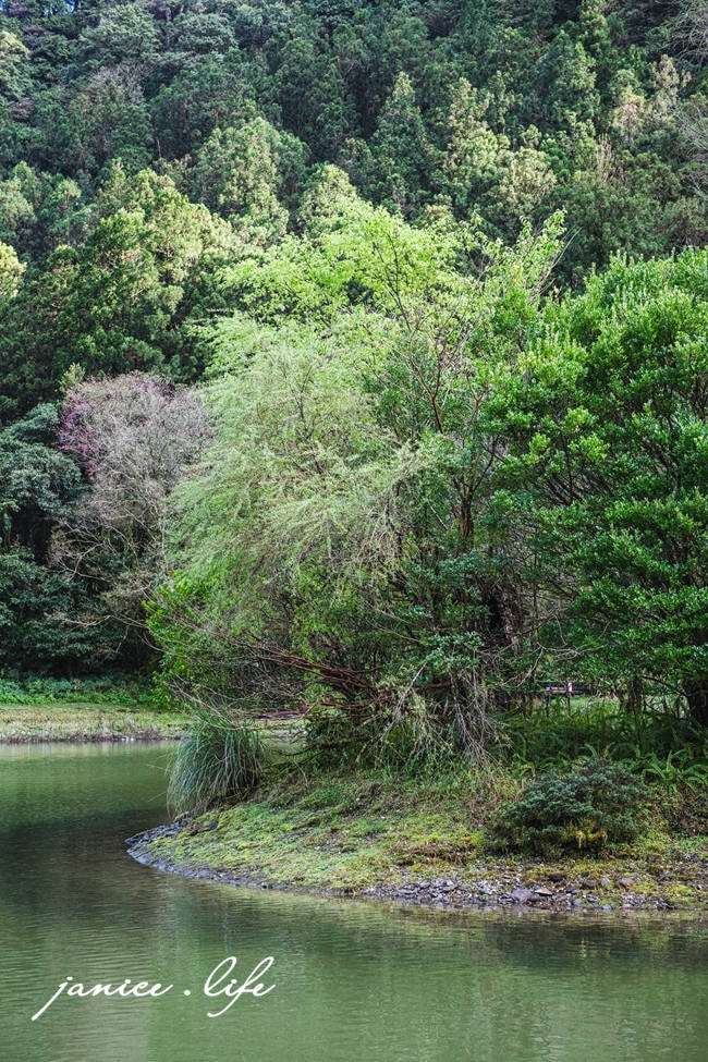 力麗馬告生態園區明池山莊 明池山莊房型 明池山莊交通明池山莊位置 明池山莊餐點 明池山莊晚餐 明池山莊評價 明池山莊接駁車 潔妮食旅生活 宜蘭住宿 宜蘭大同 宜蘭旅遊 宜蘭景點 宜蘭親子旅遊 宜蘭親子景點 親子景點 馬告生態園區 明池森林遊樂區交通 明池森林遊樂區停車 明池森林遊樂區門票
