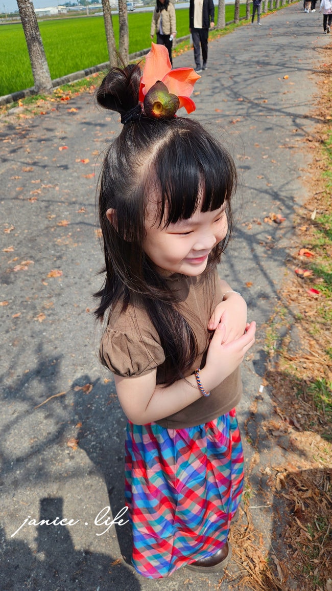 台南白河景點 林初埤木棉花道 木棉花 世界15條最美花海街道之一 台南旅遊 台南景點 賞花 台南賞花 潔妮食旅生活 