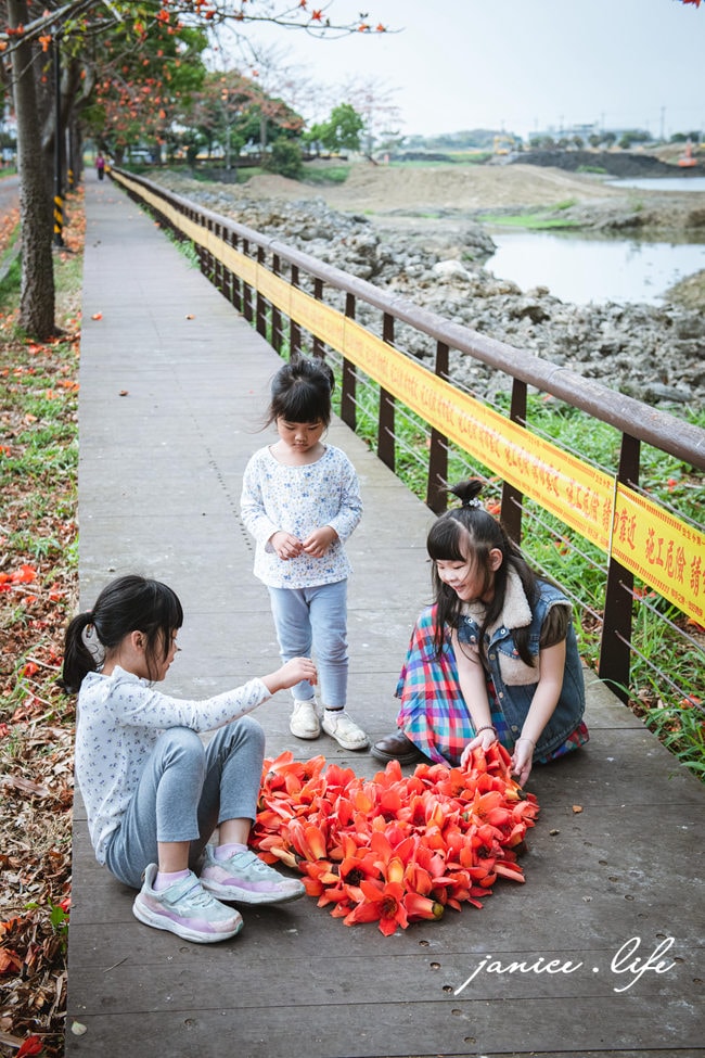 台南白河景點 林初埤木棉花道 木棉花 世界15條最美花海街道之一 台南旅遊 台南景點 賞花 台南賞花 潔妮食旅生活 