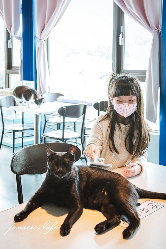 新竹峨眉 愛君堡咖啡 貓咪咖啡廳 貓咪咖啡廳新竹 下午茶 火鍋 愛君堡咖啡菜單 愛君堡咖啡停車 新竹旅遊 新竹峨眉景點 潔妮食旅生活 新竹縣峨眉鄉忠義街29號
