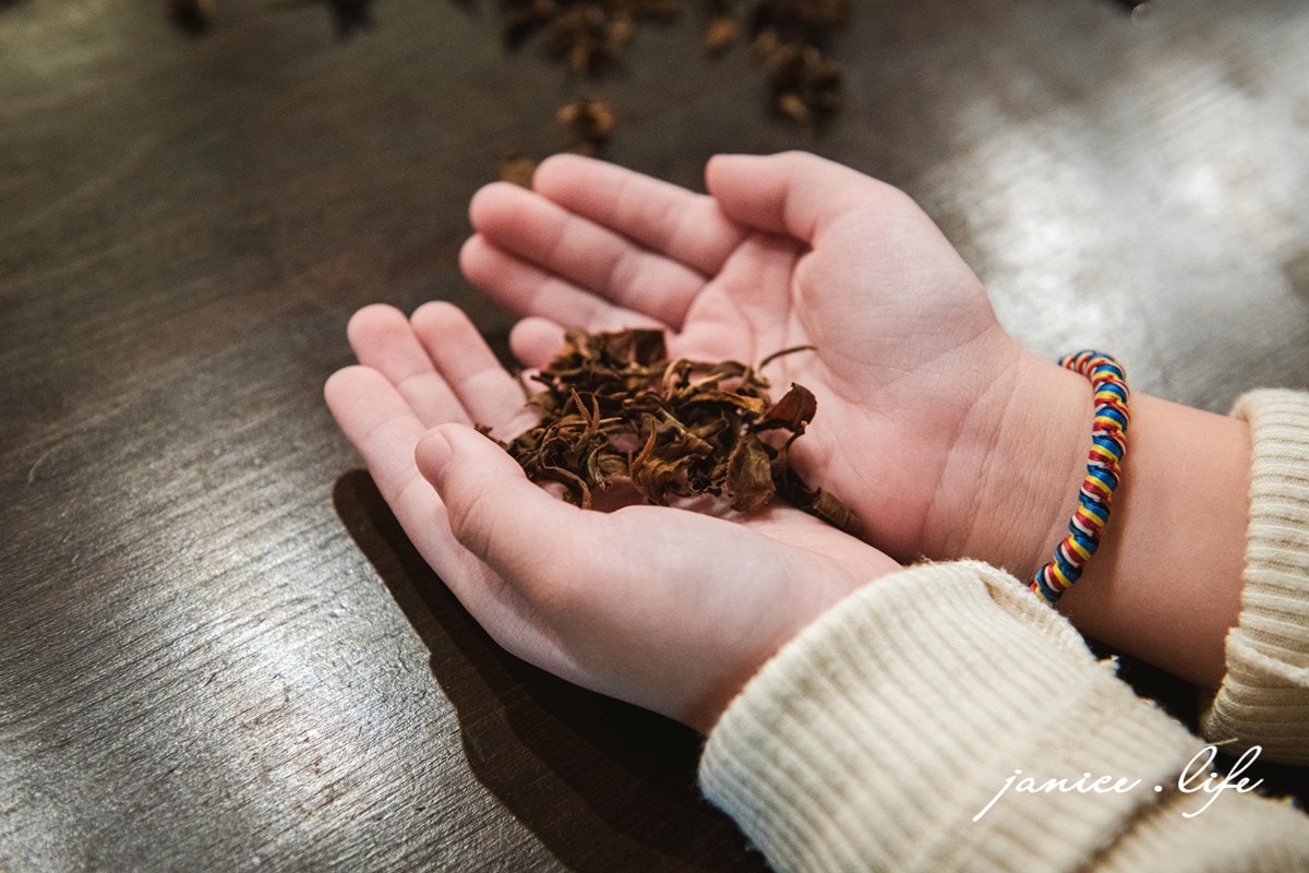 新竹峨眉旅遊 新竹峨眉景點 富興老茶廠 富興茶業文化館 新竹旅遊 新竹景點 潔妮食旅生活