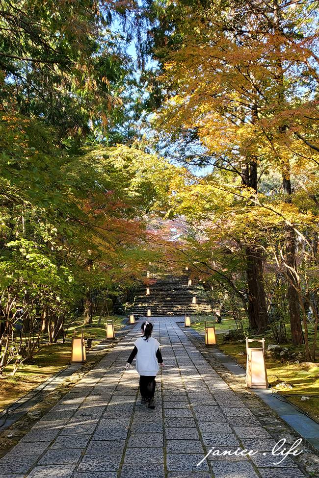 高知県高知市五台山3577 四國高知 四國自駕 四國旅遊 四國高知景點 ​四國遍路第31號靈場 五台山竹林寺 牧野植物園 四國靈場 潔妮食旅生活