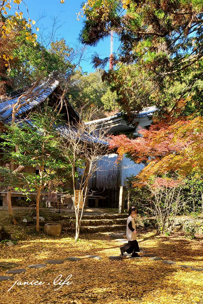 高知県高知市五台山3577 四國高知 四國自駕 四國旅遊 四國高知景點 ​四國遍路第31號靈場 五台山竹林寺 牧野植物園 四國靈場 潔妮食旅生活