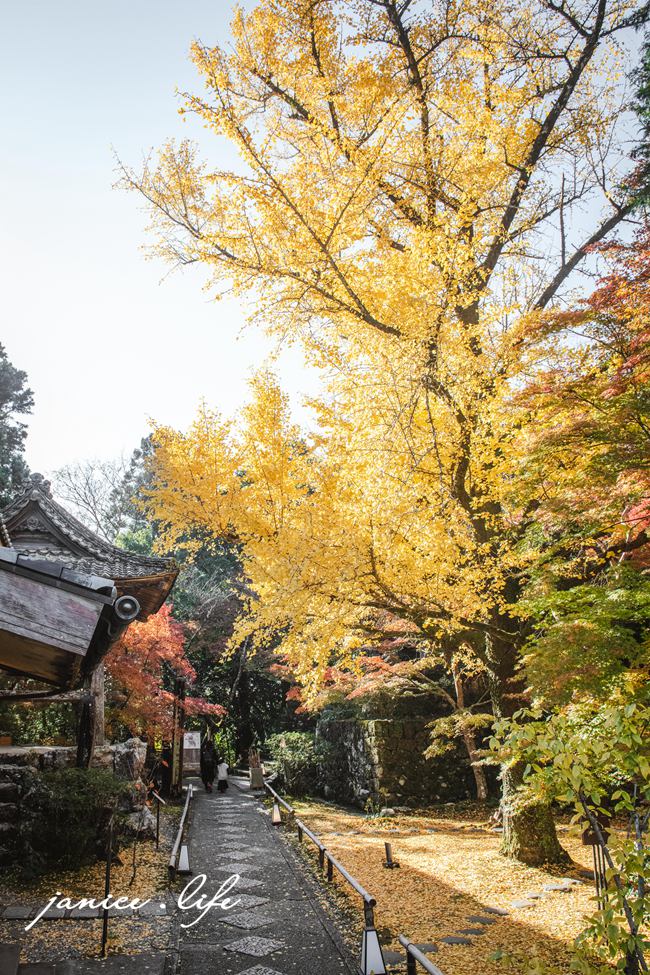 高知県高知市五台山3577 四國高知 四國自駕 四國旅遊 四國高知景點 ​四國遍路第31號靈場 五台山竹林寺 牧野植物園 四國靈場 潔妮食旅生活