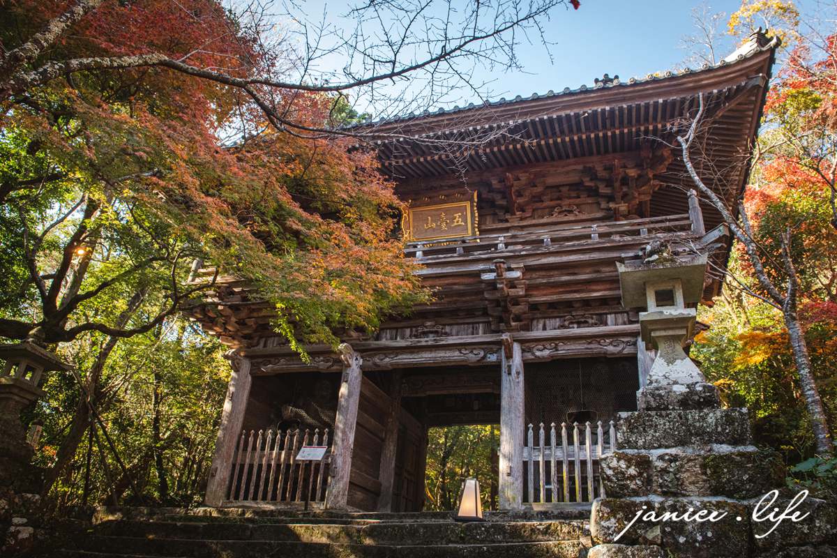 高知県高知市五台山3577 四國高知 四國自駕 四國旅遊 四國高知景點 ​四國遍路第31號靈場 五台山竹林寺 牧野植物園 四國靈場 潔妮食旅生活