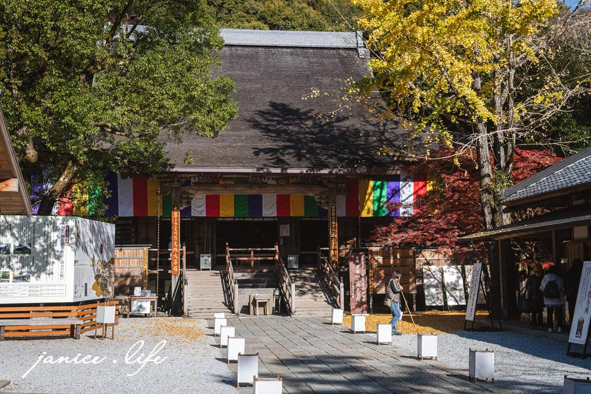 高知県高知市五台山3577 四國高知 四國自駕 四國旅遊 四國高知景點 ​四國遍路第31號靈場 五台山竹林寺 牧野植物園 四國靈場 潔妮食旅生活