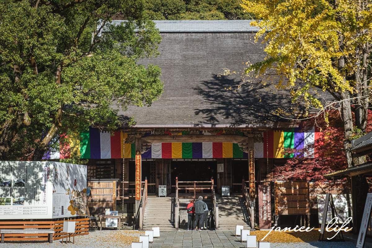 高知県高知市五台山3577 四國高知 四國自駕 四國旅遊 四國高知景點 ​四國遍路第31號靈場 五台山竹林寺 牧野植物園 四國靈場 潔妮食旅生活