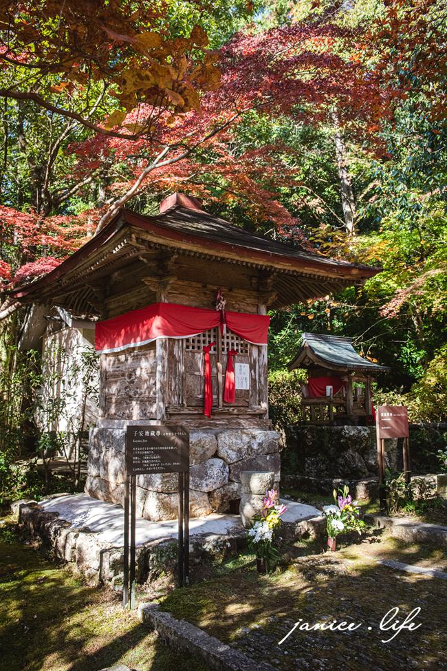 四國高知|四國靈場第31號靈場.五台山竹林寺|金黃銀杏與紅葉的交織秋意 - 第15張圖 高知県高知市五台山3577 四國高知 四國自駕 四國旅遊 四國高知景點 四國遍路第31號靈場 五台山竹林寺 牧野植物園 四國靈場 潔妮食旅生活