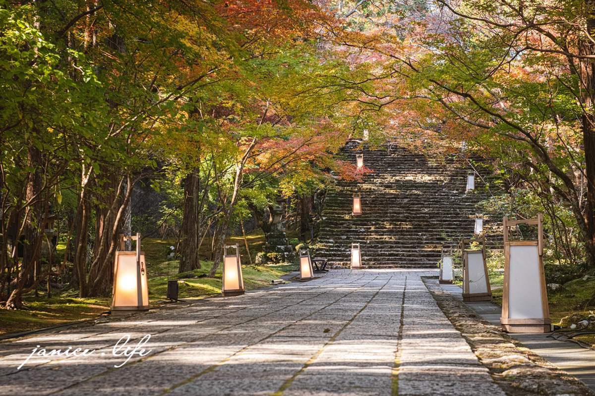 高知県高知市五台山3577 四國高知 四國自駕 四國旅遊 四國高知景點 ​四國遍路第31號靈場 五台山竹林寺 牧野植物園 四國靈場 潔妮食旅生活