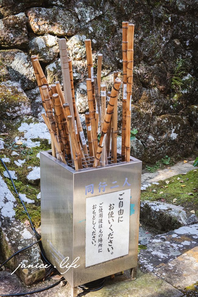 四國高知|四國靈場第31號靈場.五台山竹林寺|金黃銀杏與紅葉的交織秋意 - 第18張圖 高知県高知市五台山3577 四國高知 四國自駕 四國旅遊 四國高知景點 四國遍路第31號靈場 五台山竹林寺 牧野植物園 四國靈場 潔妮食旅生活